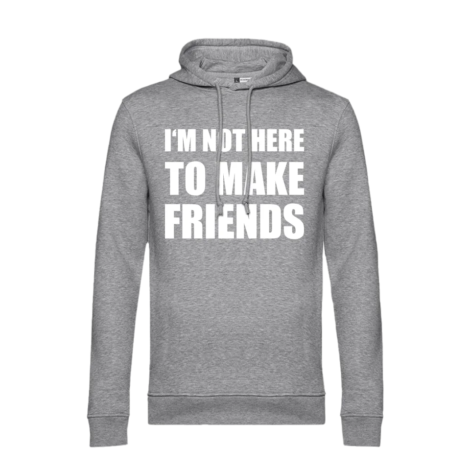rv25hoodiegrey